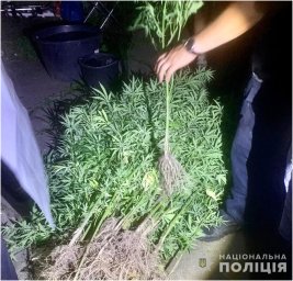 На Винничині затримано групу наркоділків. З’явилося відео