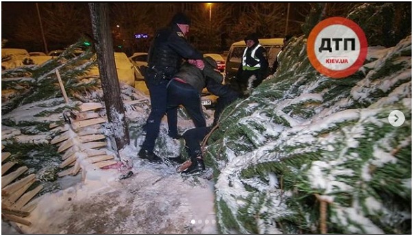 В Киеве возле елочного базара пытались украсть елку, а потом дрались на ножах и топорах