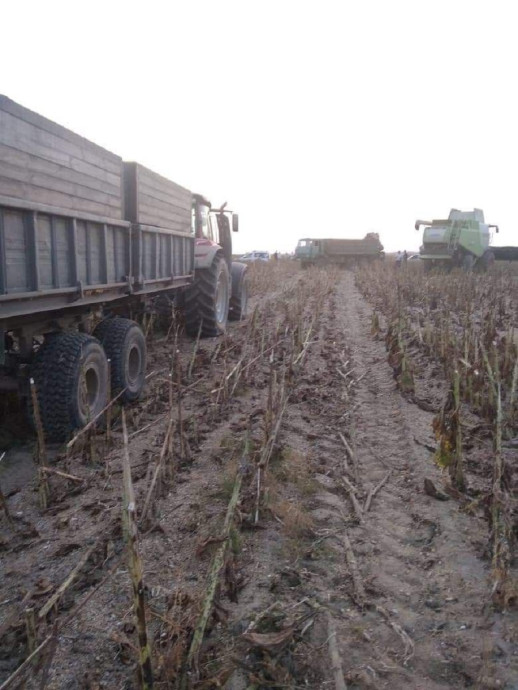В Броварскоьму районі на аграрному підприємстві намагалися незаконно зібрати чужий врожай