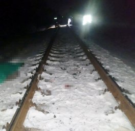 В Житомирской области поезд сбил мужчину