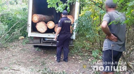 В Одесской области задержан «черный лесоруб»
