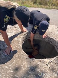 У П’ятихатках правоохоронці втягли неповнолітню дитину з колодязя