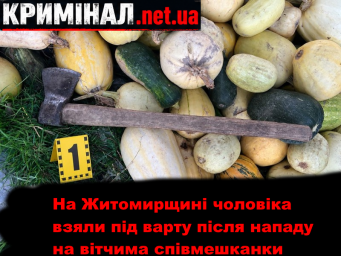 На Житомирщині чоловіка взяли під варту після нападу на вітчима співмешканки