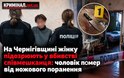 На Чернігівщині жінку підозрюють у вбивстві співмешканця: чоловік помер від ножового поранення