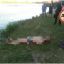 В Киеве в озере Корчеватом утонул мужчина