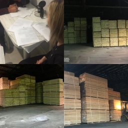 ​В Житомирской области разоблачили нелегальный экспорт древесины в Азию