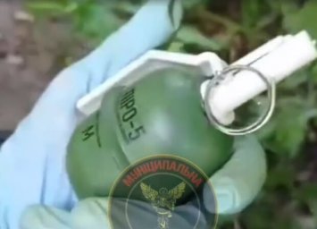 В Киевском парке нашли "растяжку" с гранатой
