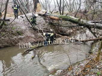 ​В Совском пруду утонул мужчина