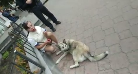 В Днепре напали на девушку и отобрали собаку
