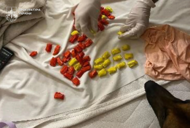 У Львові судитимуть матір, яка використовувала 5-річну доньку для розповсюдження наркотиків У Львові судитимуть матір, яка використовувала 5-річну доньку для розповсюдження наркотиків