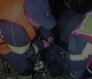 Під Коростенем із річки дістали тіло 69-річного чоловіка