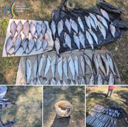 На Канівщині затримали браконьєра з незаконним уловом риби на 120 тисяч гривень