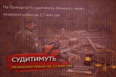 На Прикарпатті судитимуть лісничого через незаконні рубки на 2,7 млн грн На Прикарпатті судитимуть лісничого через незаконні рубки на 2,7 млн грн