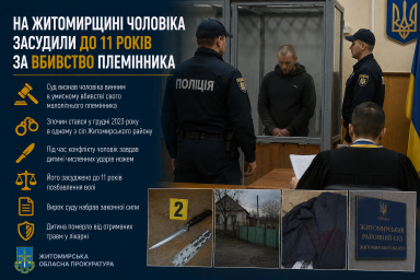 На Житомирщині чоловіка засудили до 11 років за вбивство племінника