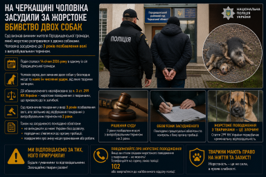 На Черкащині чоловіка засудили за жорстоке вбивство двох собак