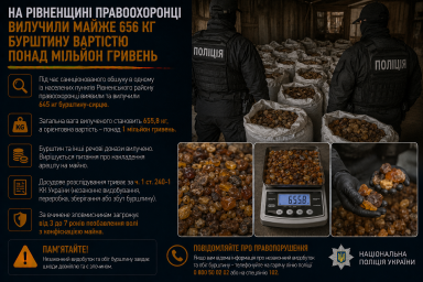 На Рівненщині правоохоронці вилучили майже 656 кг бурштину вартістю понад мільйон гривень