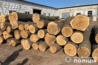 На Тернопільщині викрили масштабну схему незаконної вирубки лісу
