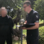 Головного лісівника Сарненщини викрили на хабарі у понад 3 мільйони гривень