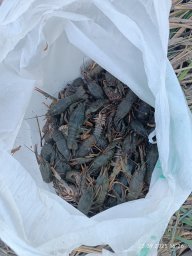 На Одещині спіймали браконьєра з 95 раками