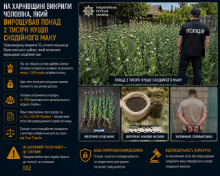 На Харківщині викрили чоловіка, який вирощував понад 2 тисячі кущів снодійного маку На Харківщині викрили чоловіка, який вирощував понад 2 тисячі кущів снодійного маку