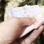 Розтрата 123,8 млн грн: посадовців військових структур підозрюють у махінаціях