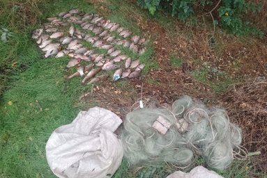 На Нікопольщині упіймали браконьєра з 19 кг риби