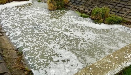 На Харківщині виявили забруднення річки Мерло невідомою речовиною На Харківщині виявили забруднення річки Мерло невідомою речовиною