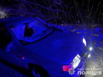 На Конотопщині на трасі збили пішохода