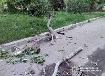 Полтавська громада сплатить за лікування дитини, на яку впала гілка з дерева