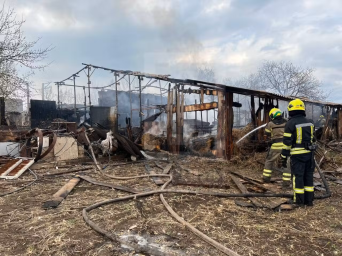 На Дніпропетровщині у пожежі загинули 58 свиней