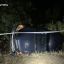 На Чернігівщині засудили водія, який збив насмерть двох дівчат