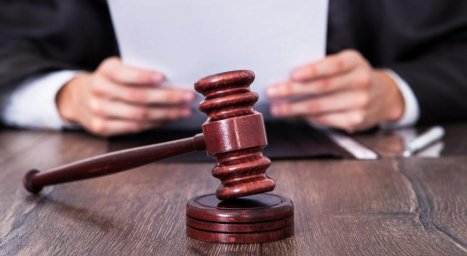 На Одещині судитимуть «чорних» лісорубів, які завдали збитків на майже 300 тисяч гривень