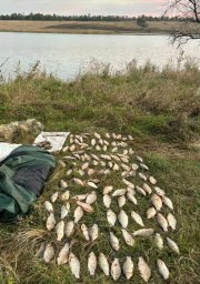 На Дніпропетровщині браконьєр наловив риби на 300 тисяч гривень