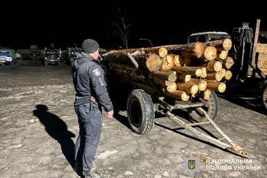 Лісових браконьєрів спіймали на Рівненщині: чотири справи у поліції