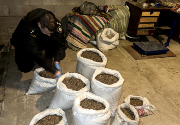 На Рівненщині вилучили бурштин на 1,5 мільйона гривень у двох братів На Рівненщині вилучили бурштин на 1,5 мільйона гривень у двох братів