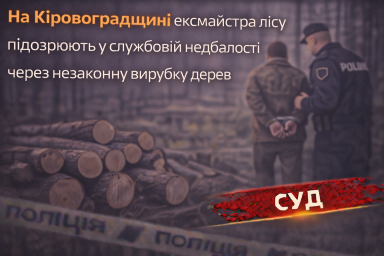 На Кіровоградщині ексмайстра лісу підозрюють у службовій недбалості через незаконну вирубку дерев