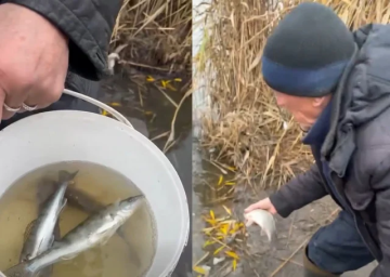 На Дніпропетровщині викрили рибалок, які ловили рибу потрійними забороненими гачками