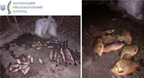 На Харківщині затримали браконьєра з червонокнижною рибою
