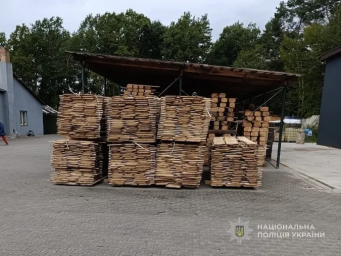 Поліція викрила групу лісокрадів на Ківерцівщині