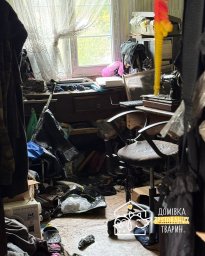 На Львівщині у приватному будинку виявили тіло жінки, яка померла близько двох місяців тому. Увесь цей час п’ятеро її котів були зачинені разом із нею — вижила лише одна тварина.