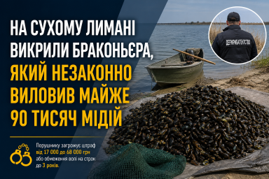 На Сухому лимані викрили браконьєра, який незаконно виловив майже 90 тисяч мідій На Сухому лимані викрили браконьєра, який незаконно виловив майже 90 тисяч мідій