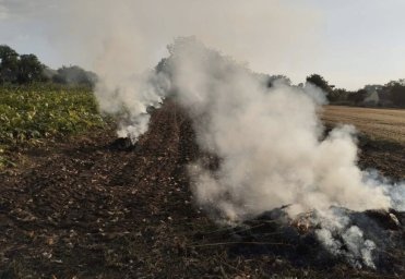 У Вінниці оштрафують двох жінок за спалювання сухостою